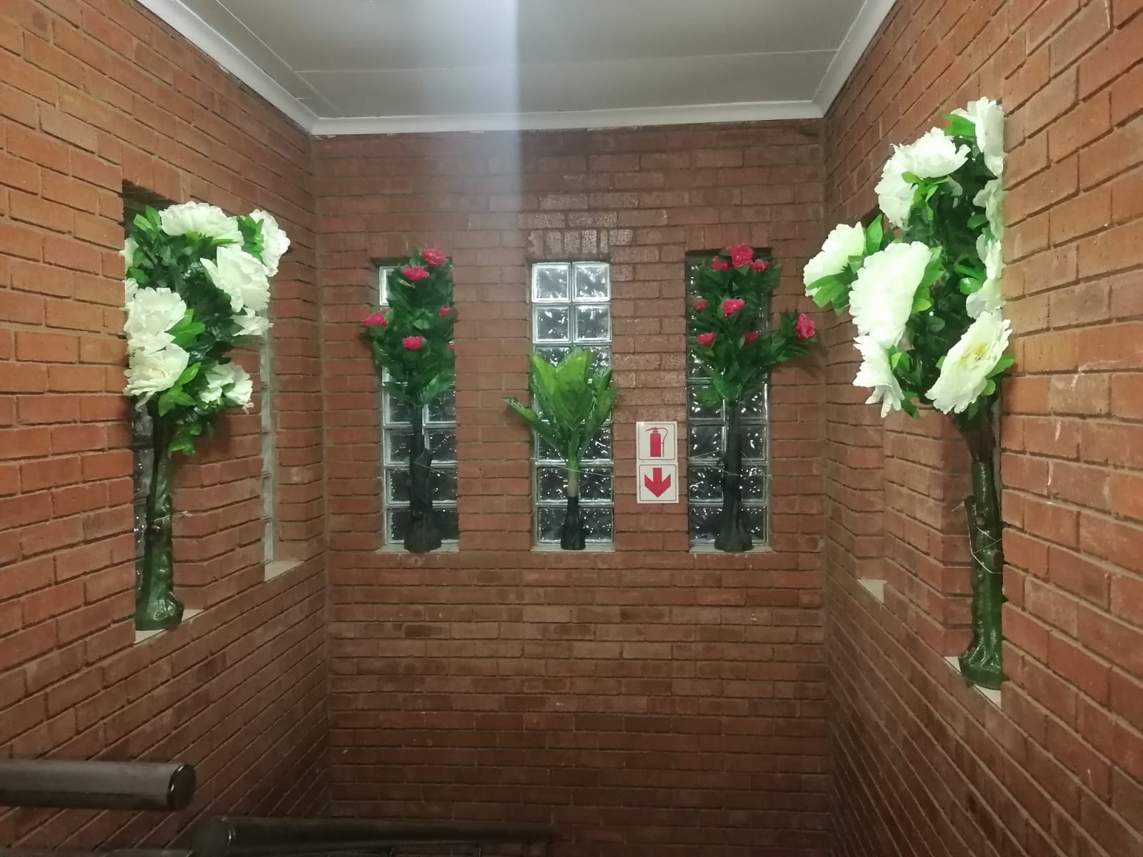 WhatsApp Image 2025-02-16 at 16.46.21 (1)